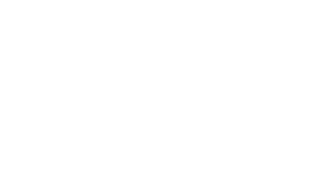 ecosmartfire
